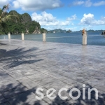 Hoa văn bề mặt Phiến đá